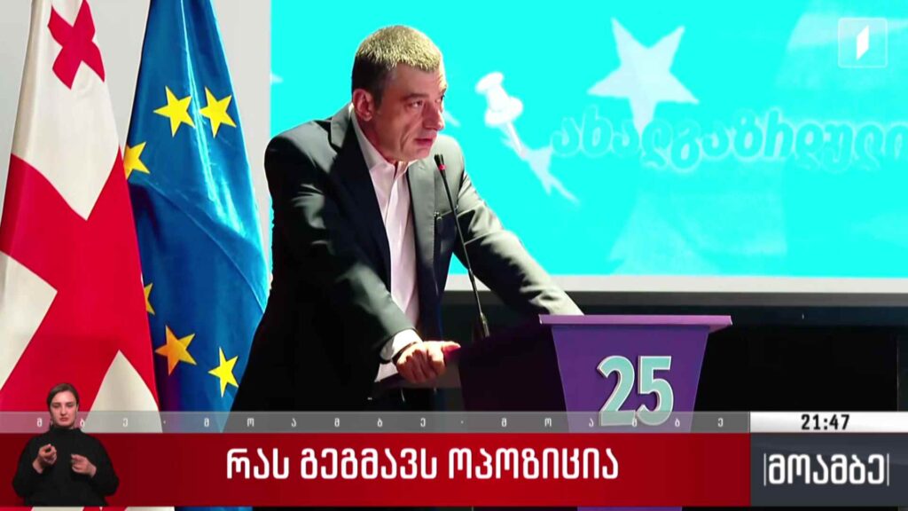 რას გეგმავს ოპოზიცია