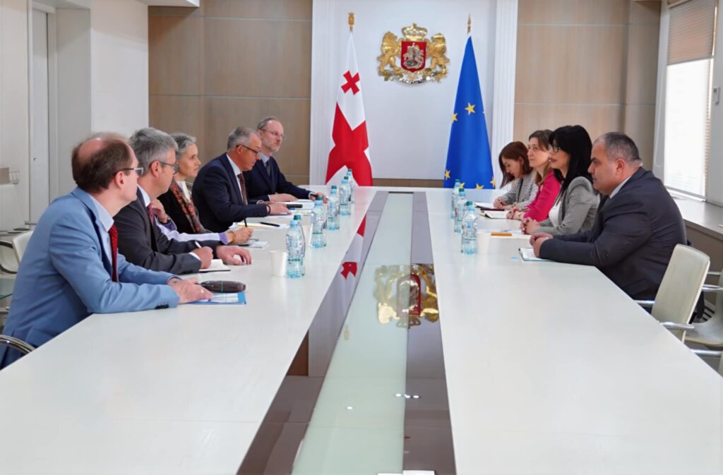 თეა ახვლედიანმა ჟენევის საერთაშორისო მოლაპარაკებების თანათავმჯდომარეებთან შეხვედრა გამართა