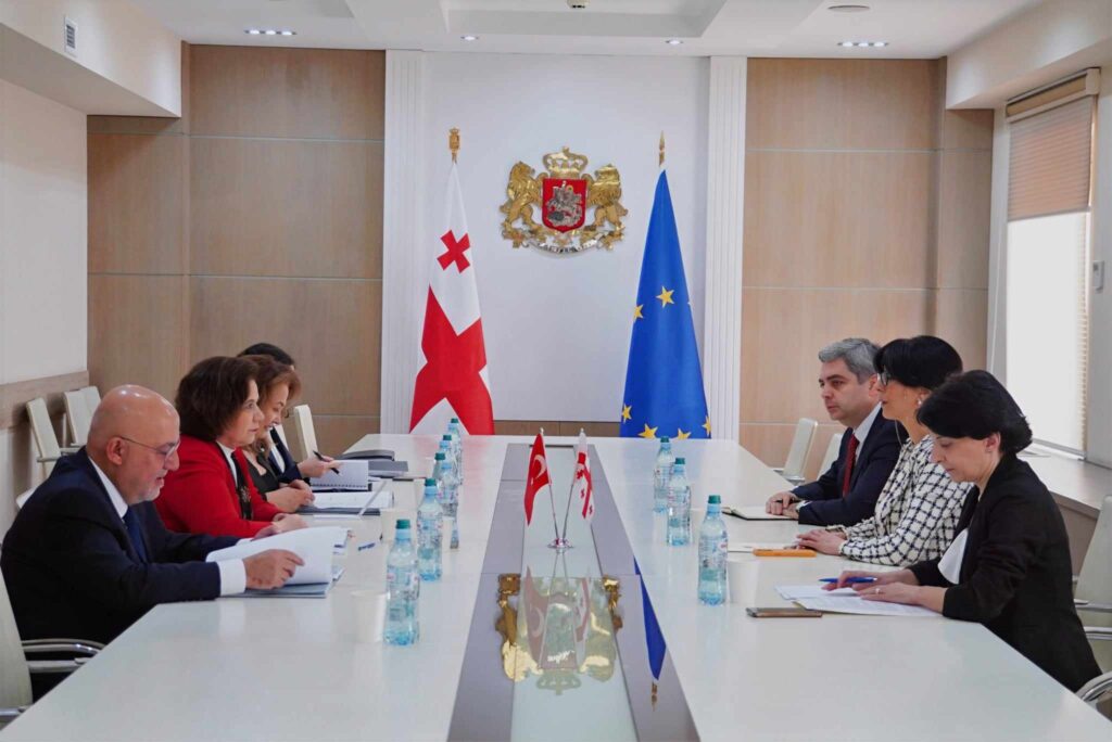 თეა ახვლედიანმა თურქეთის საგარეო საქმეთა მინისტრის მოადგილესთან შეხვედრა გამართა