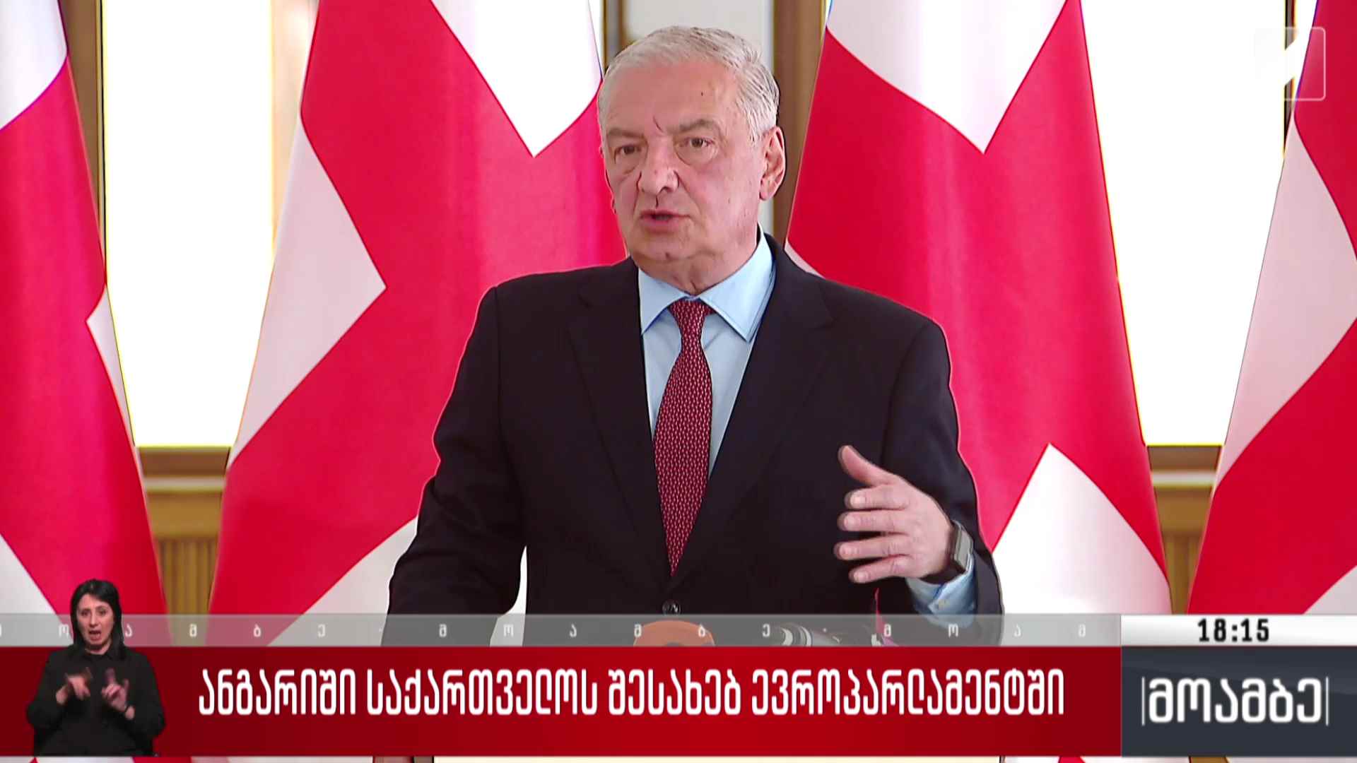 ანგარიში საქართველოს შესახებ ევროპარლამენტში - გამოხმაურება