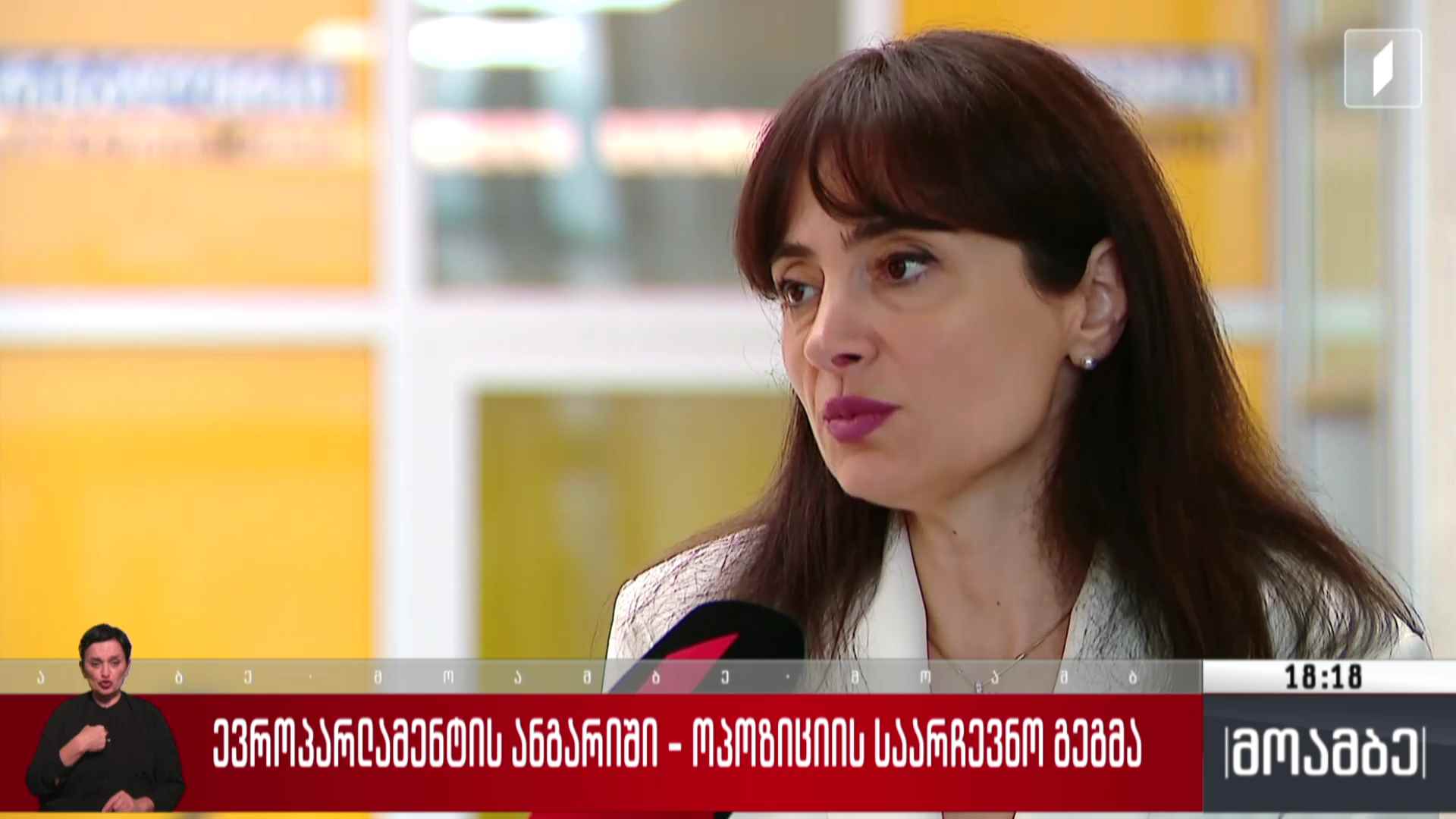 ევროპარლამენტის ანგარიში - ოპოზიციის საარჩევნო გეგმა