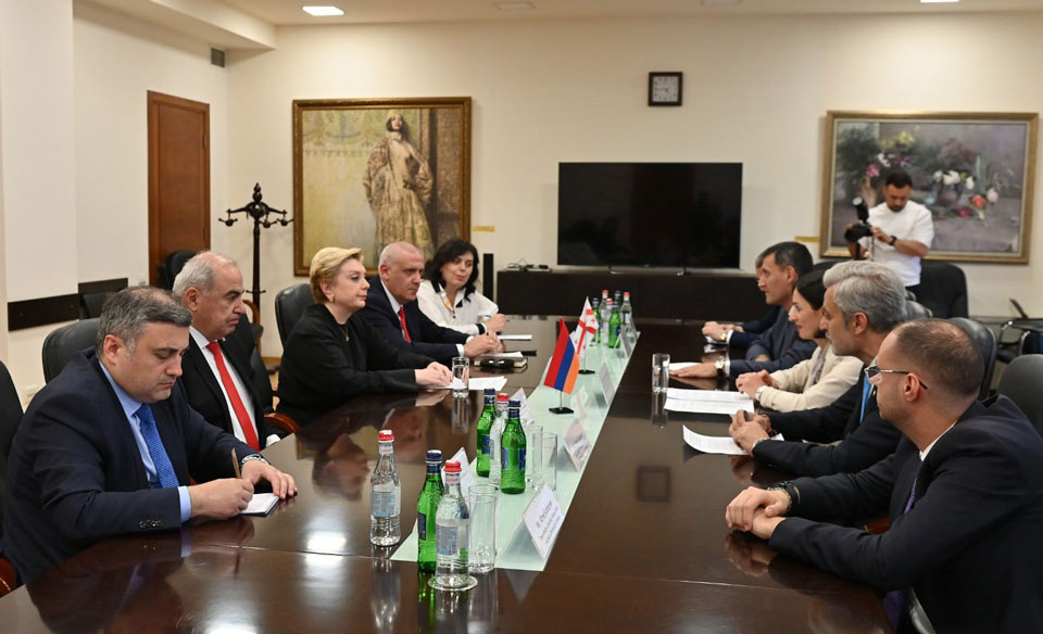 თინათინ რუხაძე სომხეთის განათლების, მეცნიერების, კულტურისა და სპორტის მინისტრს შეხვდა