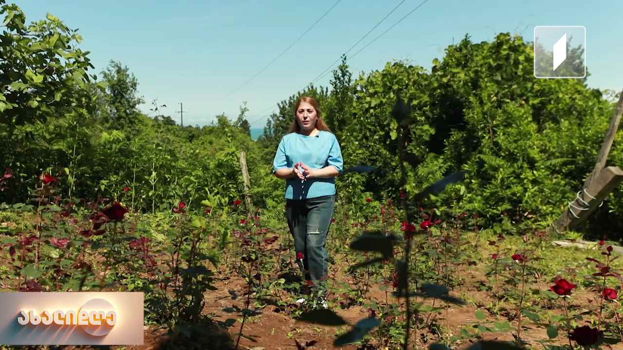 მებაღე სოფო ძირკვაძე