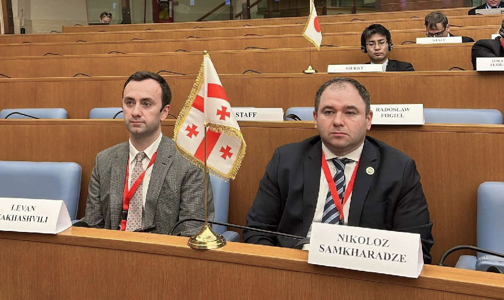 საქართველოს დელეგაციამ ეუთო-ს ფარგლებში გამართულ საპარლამენტთაშორისო კონფერენციაში მიიღო მონაწილეობა