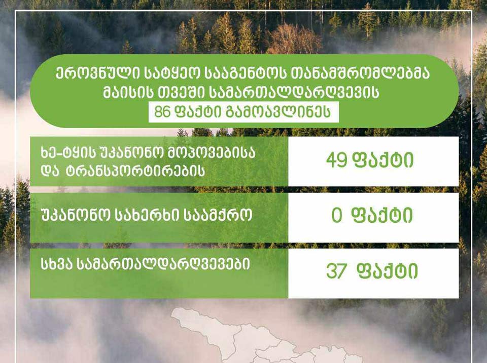 ეროვნული სატყეო სააგენტოს თანამშრომლებმა მაისის თვეში სამართალდარღვევის 86 ფაქტი გამოავლინეს