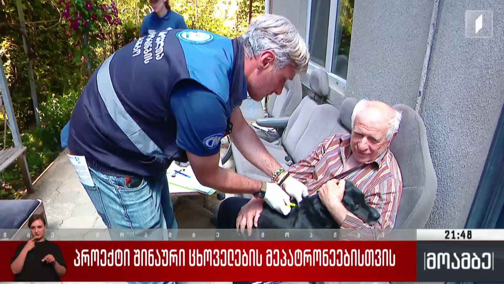 პროექტი შინაური ცხოველების მეპატრონეებისთვის 