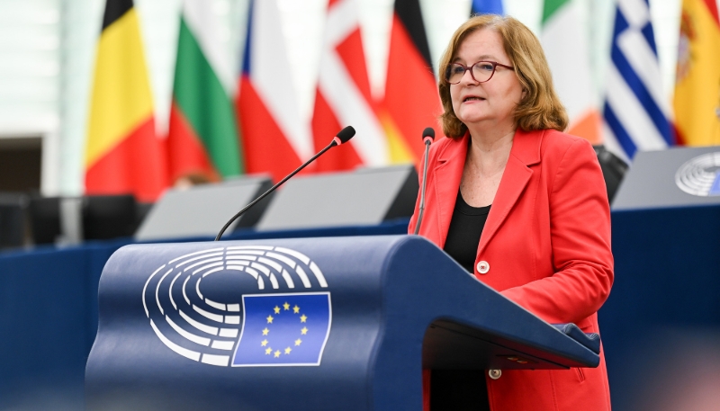 ევროპარლამენტარი ნატალი ლუაზო - ევროკავშირი და გაერთიანებული სამეფო უნდა მუშაობდნენ მჭიდროდ, რათა განახორციელონ უცხო ჩარევისა და ჰიბრიდული საფრთხეების პრევენცია