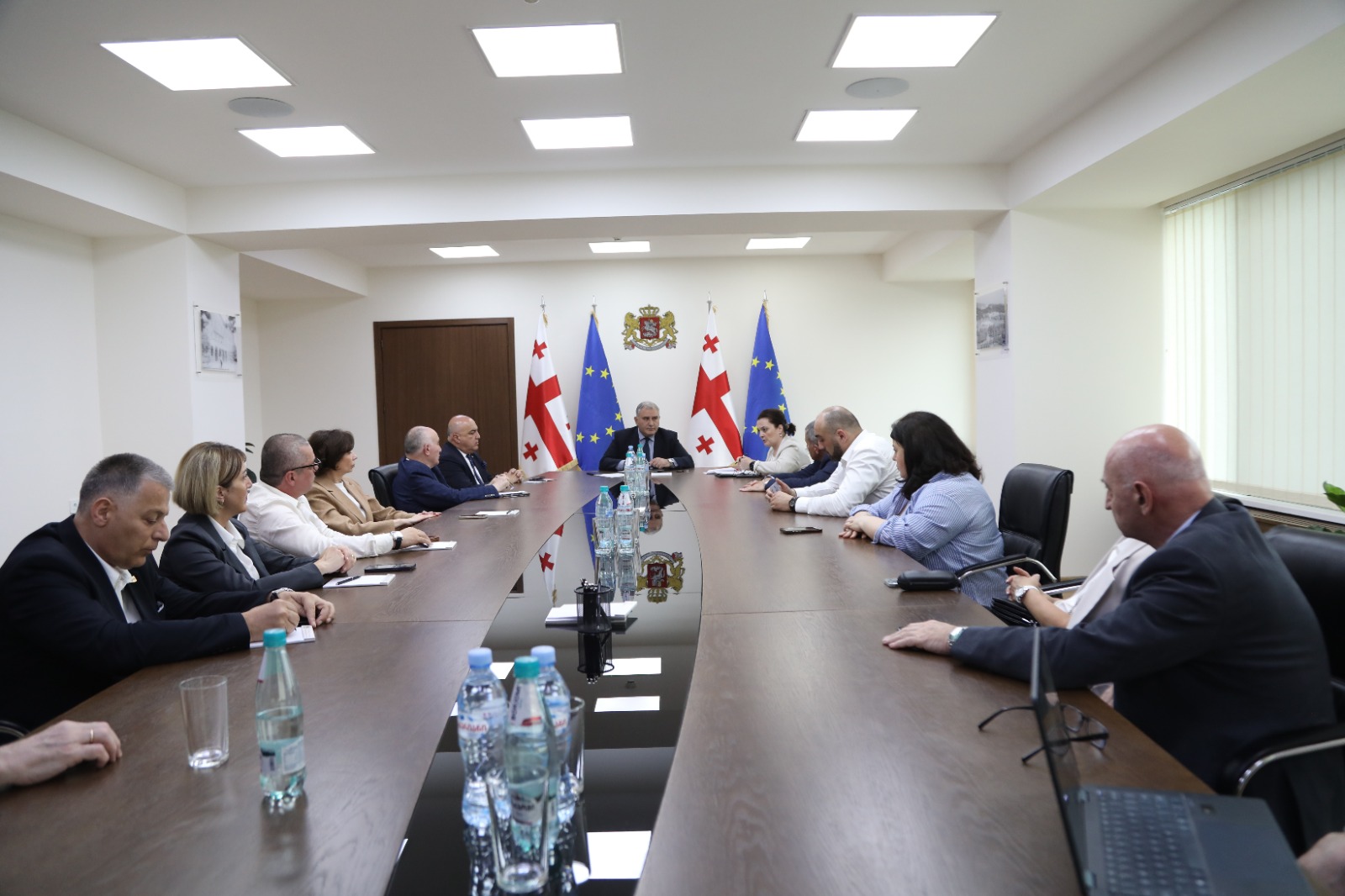 მიხეილ სარჯველაძე პროფესიული განვითარების საბჭოს წევრებს შეხვდა