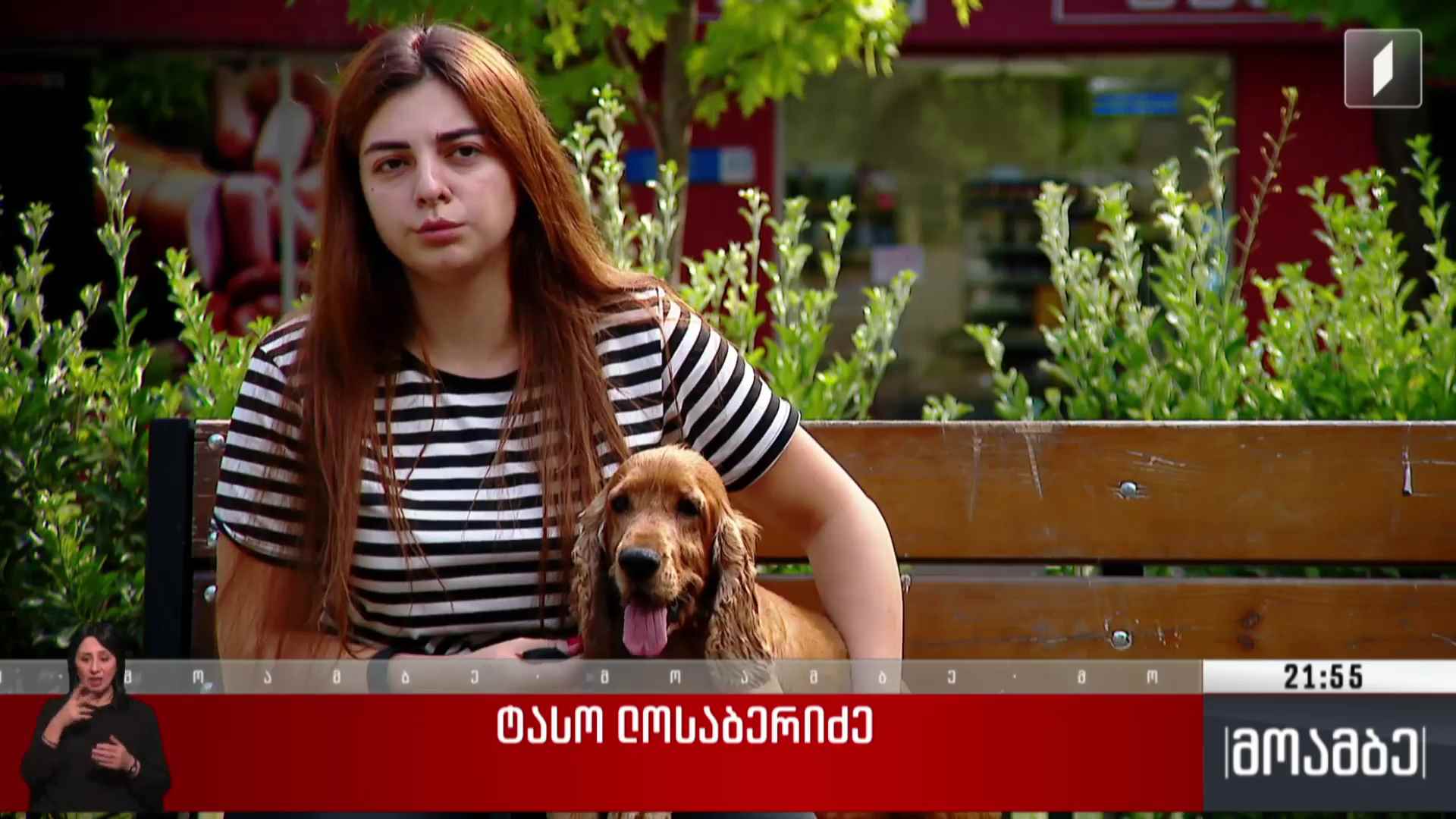 კანონპროექტი შინაურ ბინადარ ცხოველთა შესახებ