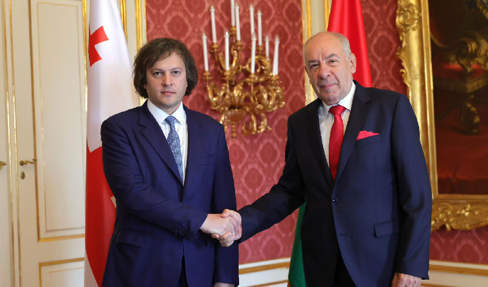 ირაკლი კობახიძე უნგრეთის პრეზიდენტს, ტამაშ შუიოკს შეხვდა