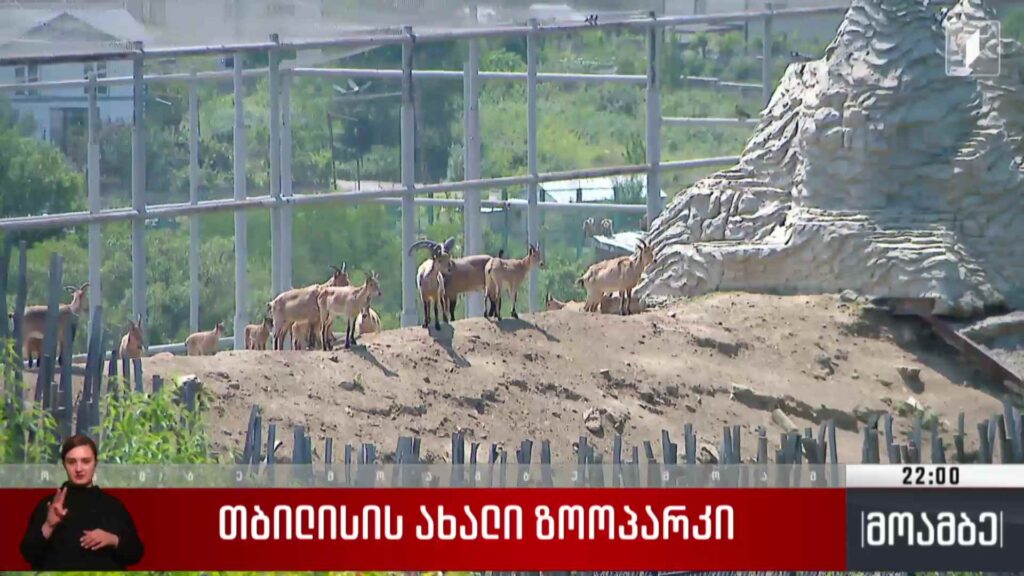 თბილისის ახალი ზოოპარკი 