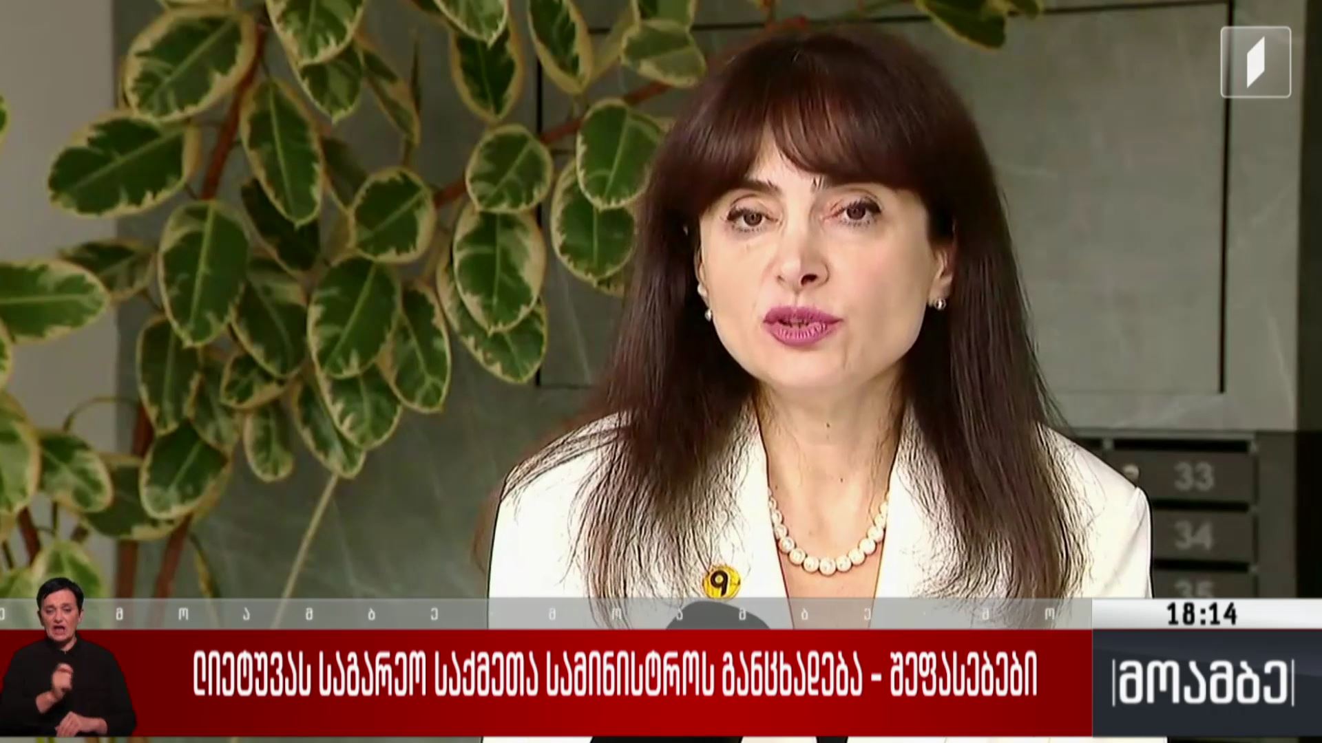ლიეტუვას საგარეო საქმეთა სამინისტროს განცხადება - შეფასებები