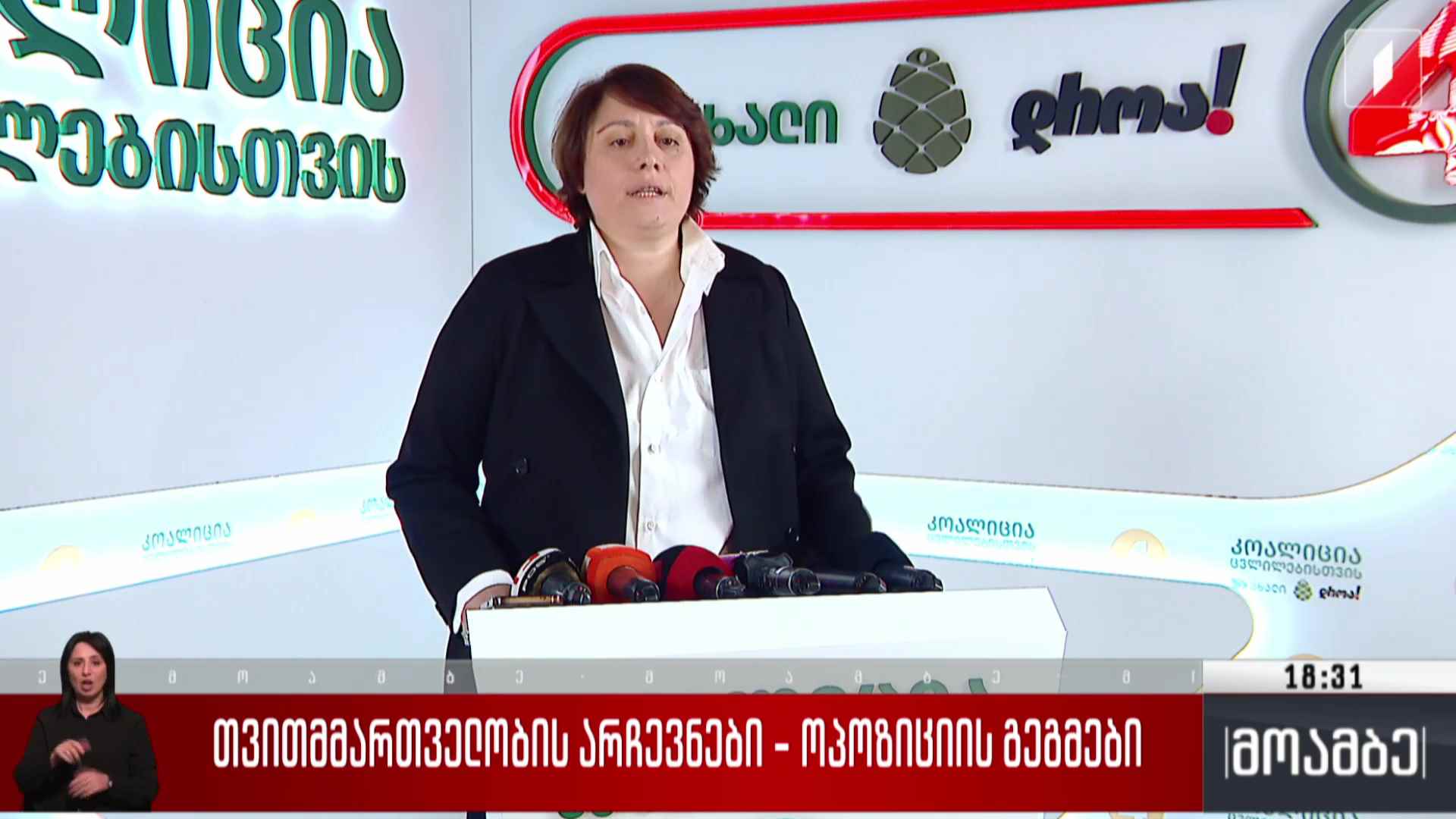 თვითმმართველობის არჩევნები - ოპოზიციის გეგმები