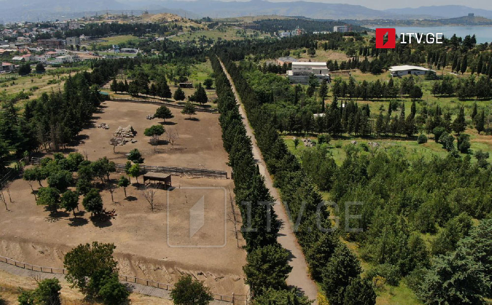 თბილისის მერია ზოოპარკის თბილისის ზღვის ტერიტორიაზე დაჩქარებული ტემპით გადატანას აპირებს, არსებული ზოოპარკის ადგილას კი მწვანე სივრცე მოეწყობა, რომელიც მზიურის პარკს დაუკავშირდება