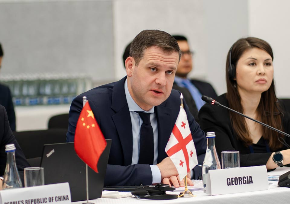 გენადი არველაძე ცენტრალური აზიის რეგიონული ეკონომიკური თანამშრომლობის პროგრამის მაღალი დონის შეხვედრაში მონაწილეობს
