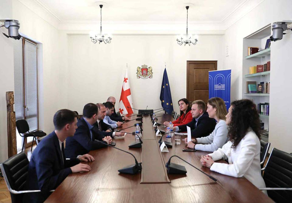 გივი მიქანაძე და გიორგი ჩაკვეტაძე უნგრეთის მმართველი პარტიის ახალგაზრდული ორგანიზაციის  წევრებს შეხვდნენ