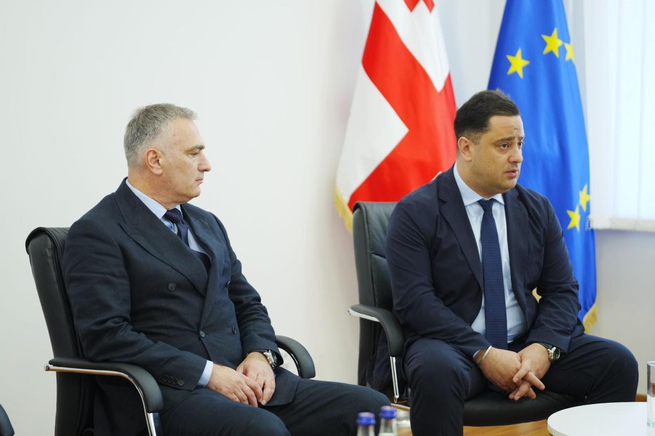 დანაშაულის პრევენციის, არასაპატიმრო სასჯელთა აღსრულებისა და პრობაციის ეროვნული სააგენტოს უფროსად ნიკა ცხვარაშვილი დაინიშნა