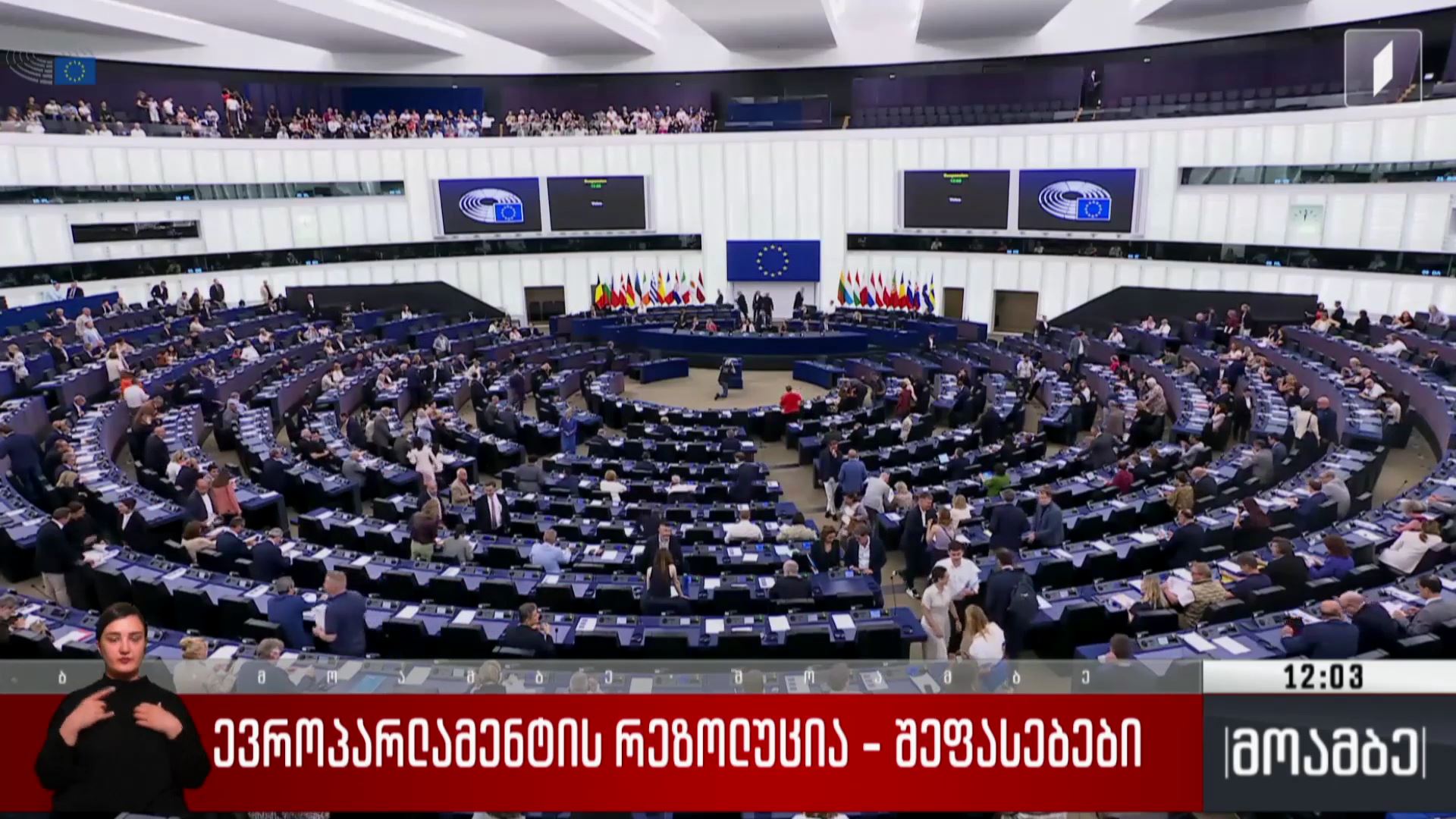ევროპარლამენტის რეზოლუცია - შეფასებები