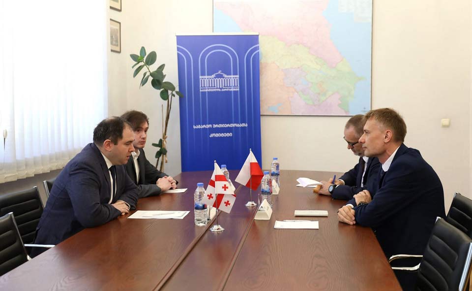 ნიკოლოზ სამხარაძე პოლონეთის დიპლომატიური მისიის ხელმძღვანელს შეხვდა