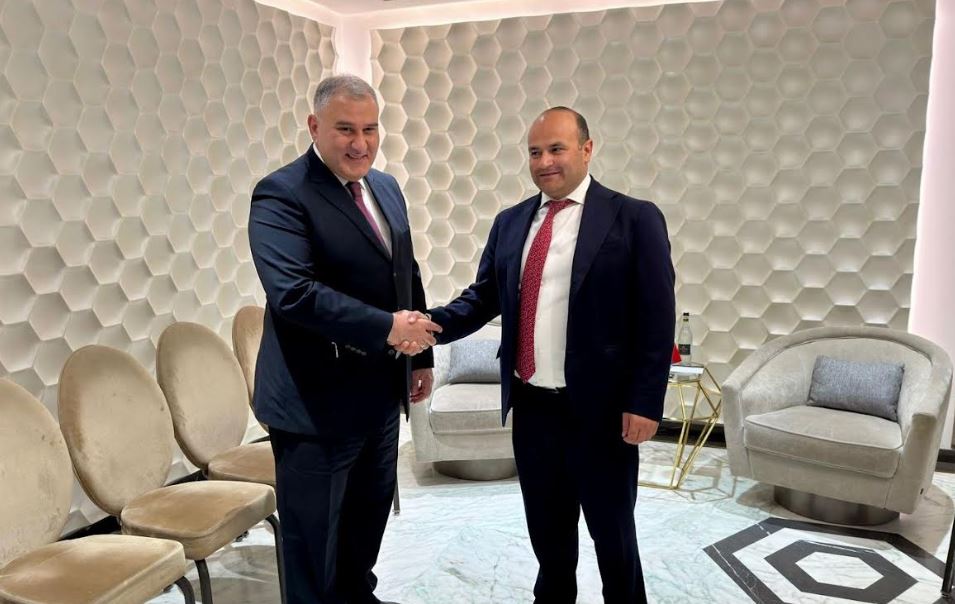 მიხეილ სარჯველაძე სომხეთის შრომისა და სოციალური საკითხების მინისტრს შეხვდა
