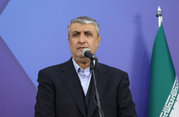 ირანის ატომური ენერგიის ორგანიზაციის ხელმძღვანელი - ირანი ბირთვული ინდუსტრიის აღდგენას გეგმავს