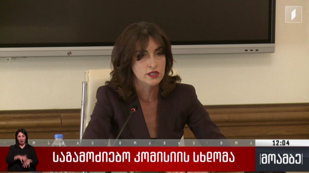 საგამოძიებო კომისიის სხდომა