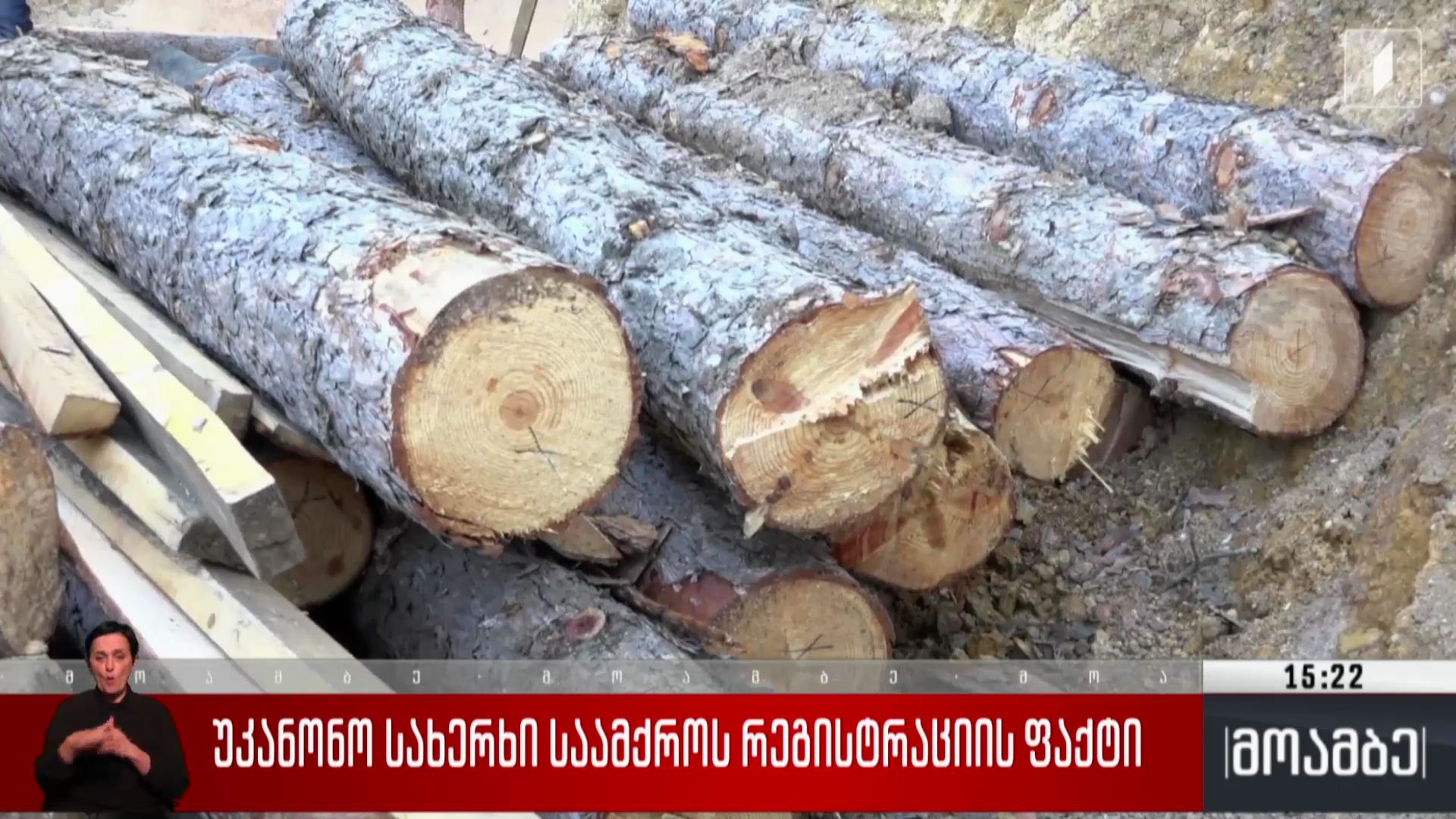 უკანონო სახერხი საამქროს რეგისტრაციის ფაქტი