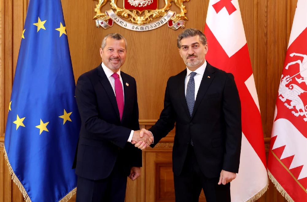 მიხეილ ყაველაშვილი საერთაშორისო საზღვაო ორგანიზაციის გენერალურ მდივანს, არსენიო დომინგესს შეხვდა