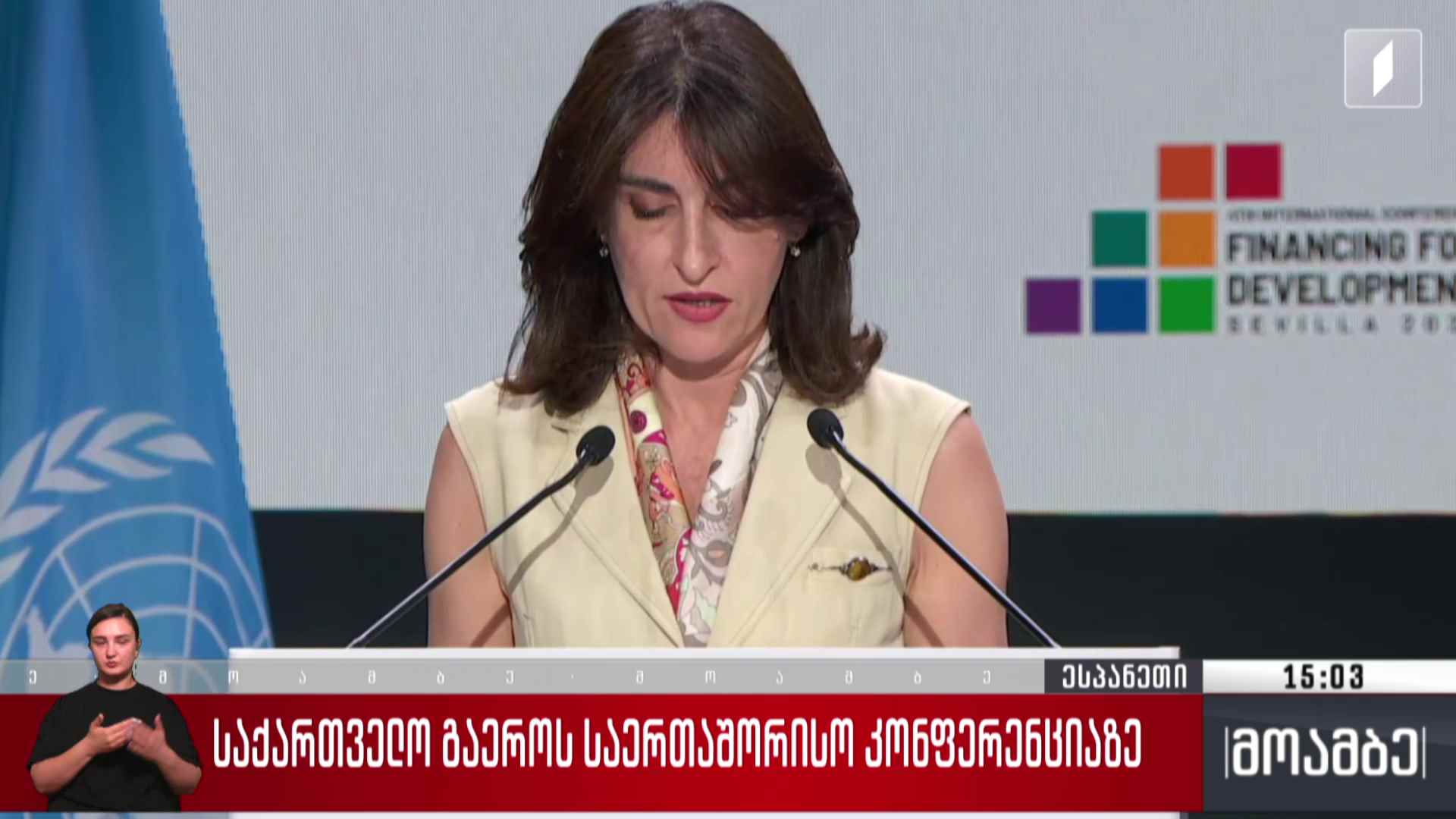 საქართველო გაერო-ს საერთაშორისო კონფერენციაზე