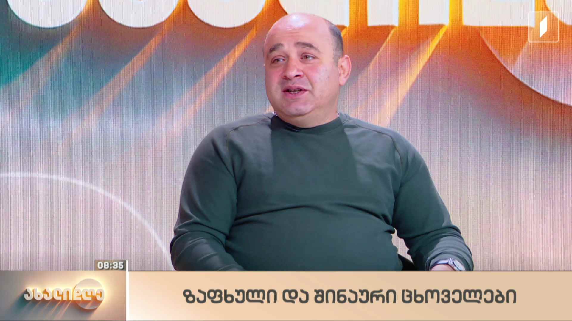 ზაფხული და შინაური ცხოველები