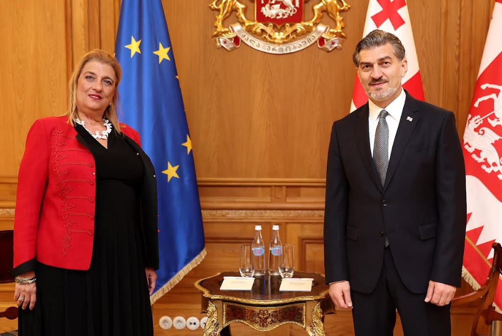 მიხეილ ყაველაშვილი საქართველოში უნგრეთის საგანგებო და სრულუფლებიან ელჩს, ანა მარია შიკოს შეხვდა