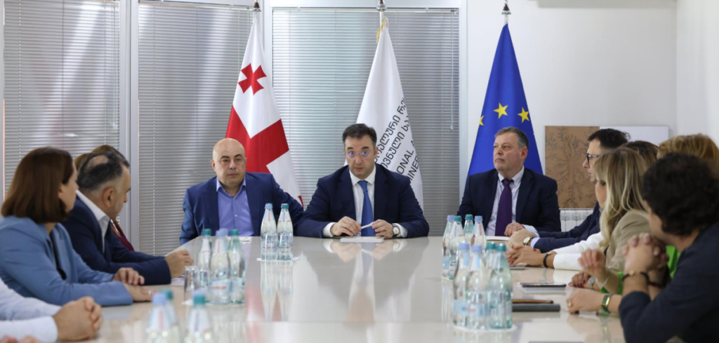 დავით სონღულაშვილი მინერალური რესურსების ეროვნული სააგენტოს თანამშრომლებს შეხვდა