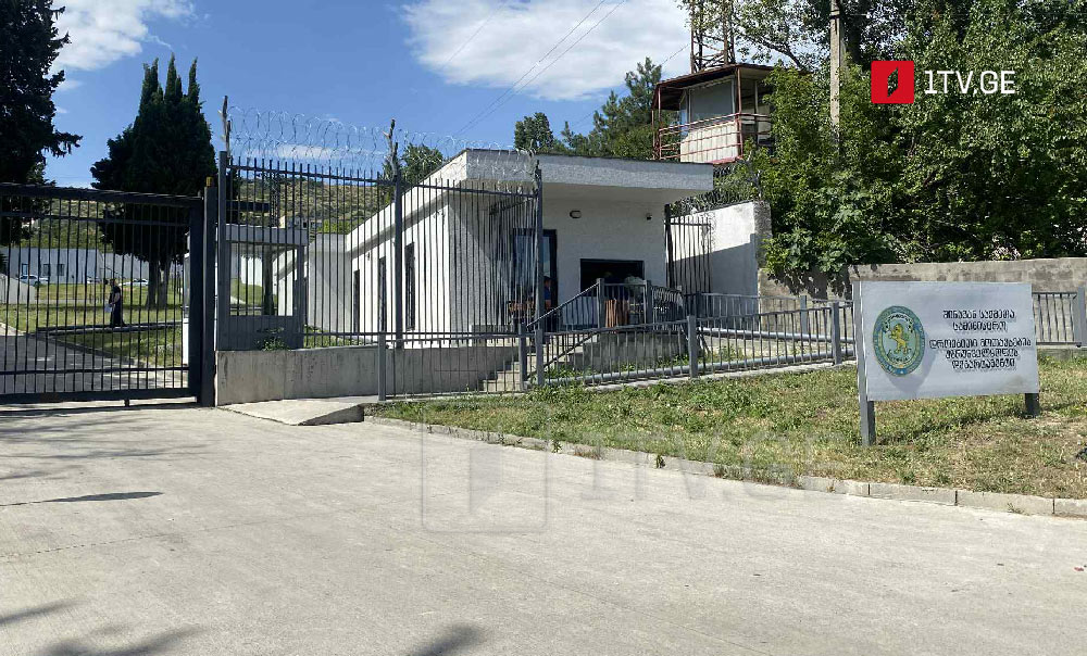 ადვოკატი ლალი აფციაური ზაჰესის დროებითი მოთავსების იზოლატორში ალექსი ახვლედიანს ხვდება