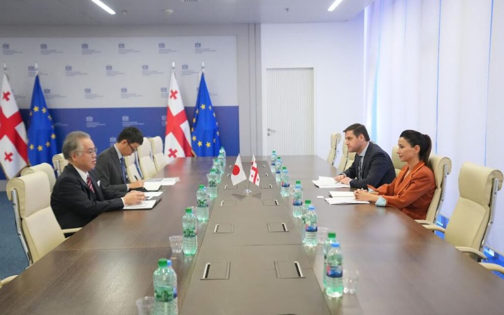 მარიამ ქვრივიშვილი იაპონიის ელჩს, იშიძუკა ჰიდეკის შეხვდა 