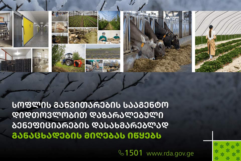 სოფლის განვითარების სააგენტო დიდთოვლობით დაზარალებული ბენეფიციარების დასახმარებლად განაცხადების მიღებას იწყებს