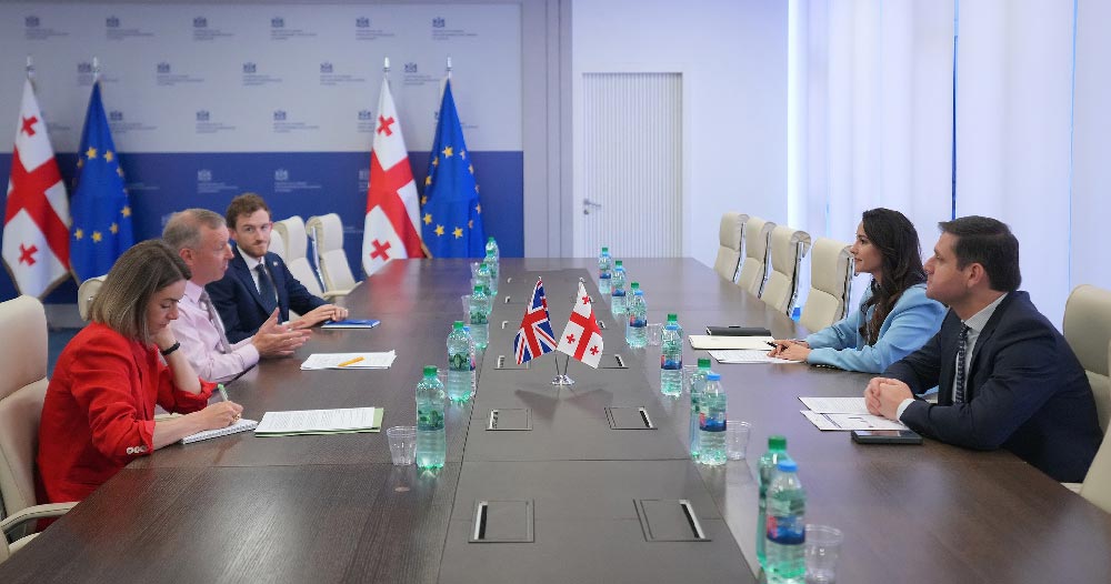 მარიამ ქვრივიშვილი საქართველოში დიდი ბრიტანეთის ელჩს, გარეტ უორდს შეხვდა