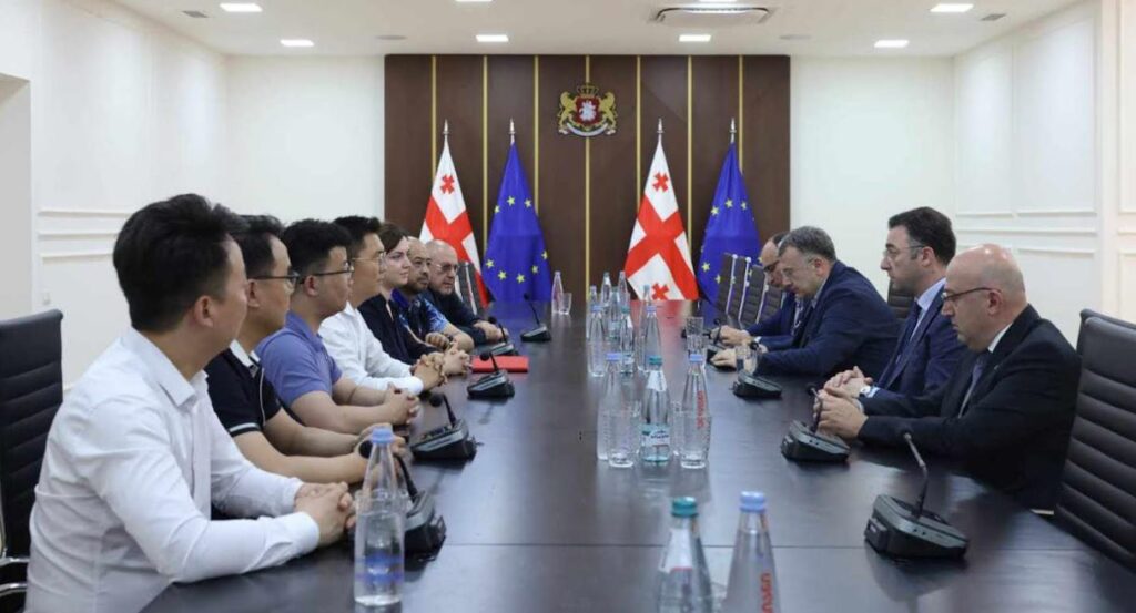 გარემოს დაცვისა და სოფლის მეურნეობის მინისტრი დავით სონღულაშვილი ჩინეთის ბიზნესდელეგაციის წევრებს შეხვდა
