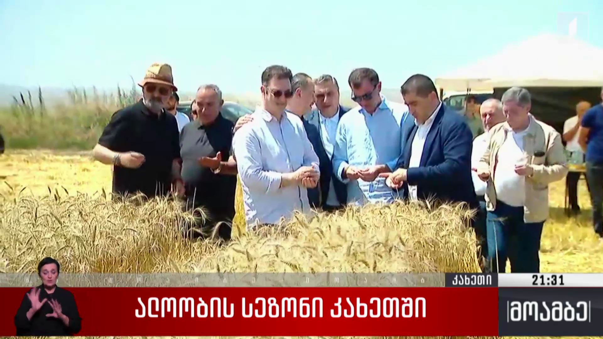  ალოობის სეზონი კახეთში