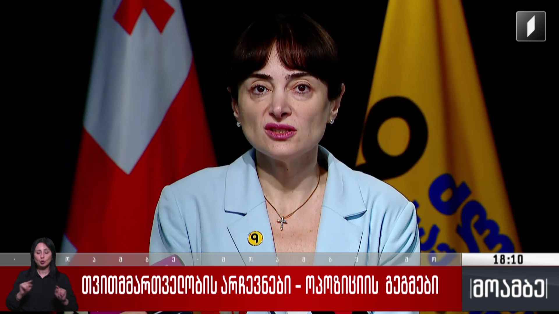 თვითმმართველობის არჩევნები - ოპოზიციის  გეგმები