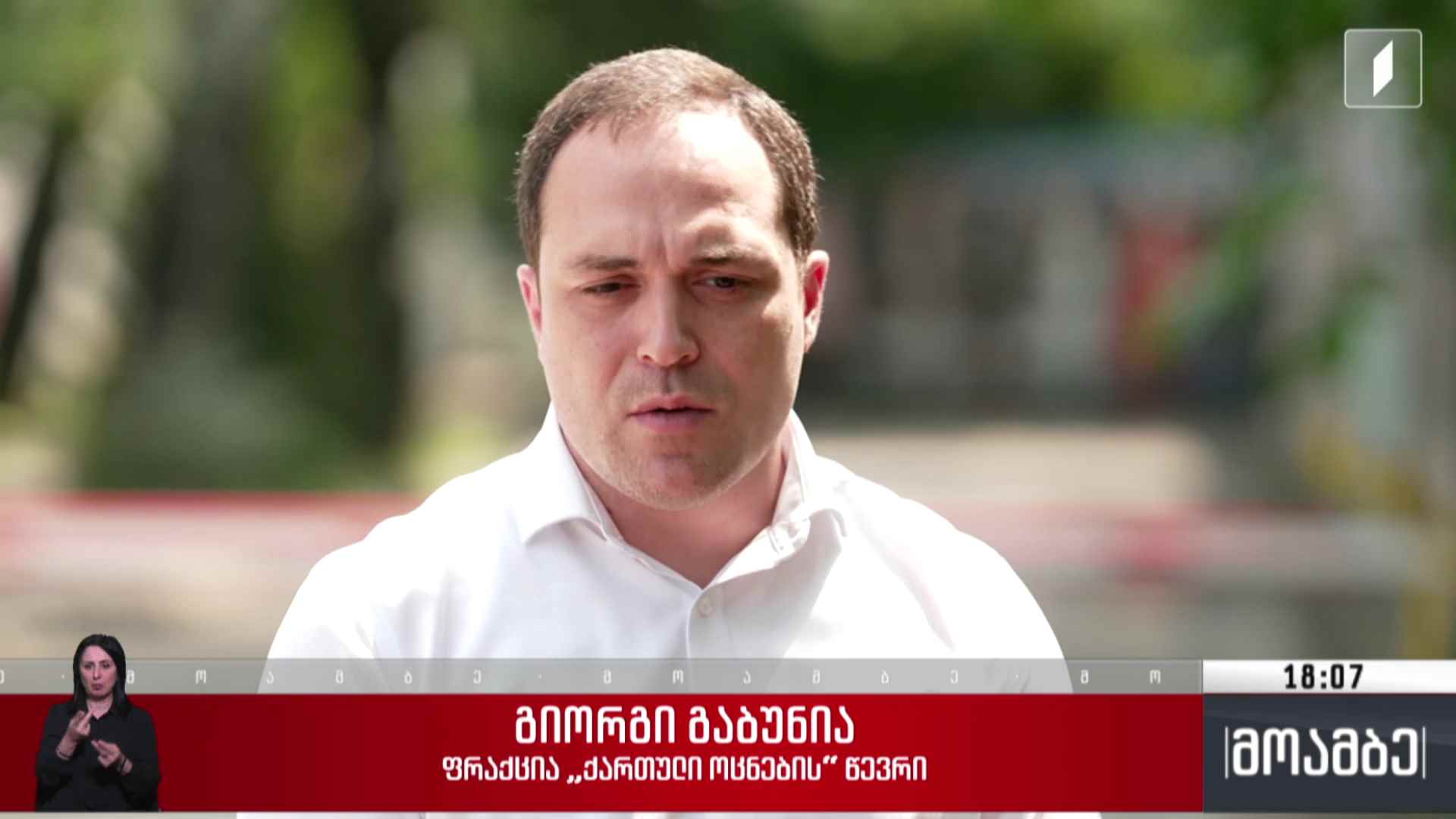 თვითმმართველობის არჩევნები - ოპოზიციის  გეგმები