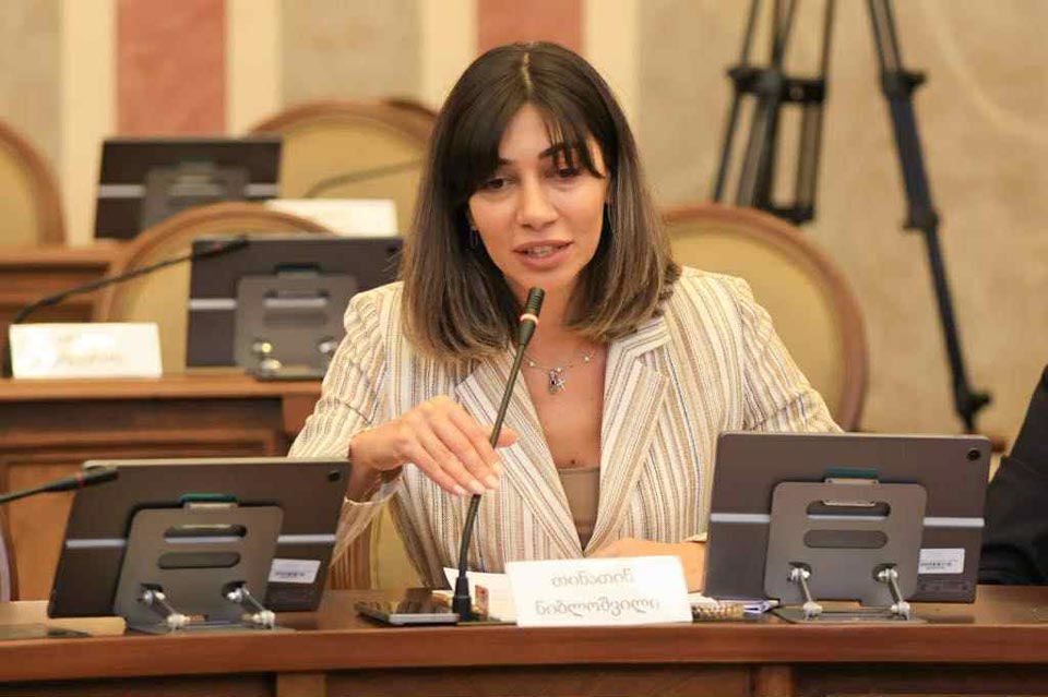 თბილისის საკრებულოს გადაწყვეტილებით, დედაქალაქში ქალთა და ბავშვთა საკითხებზე მომუშავე მუნიციპალური საბჭო შეიქმნა, რომელსაც თინათინ ნიბლოშვილი უხელმძღვანელებს