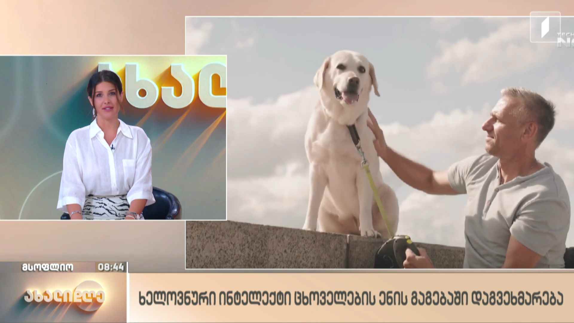 მსოფლიო ამბები