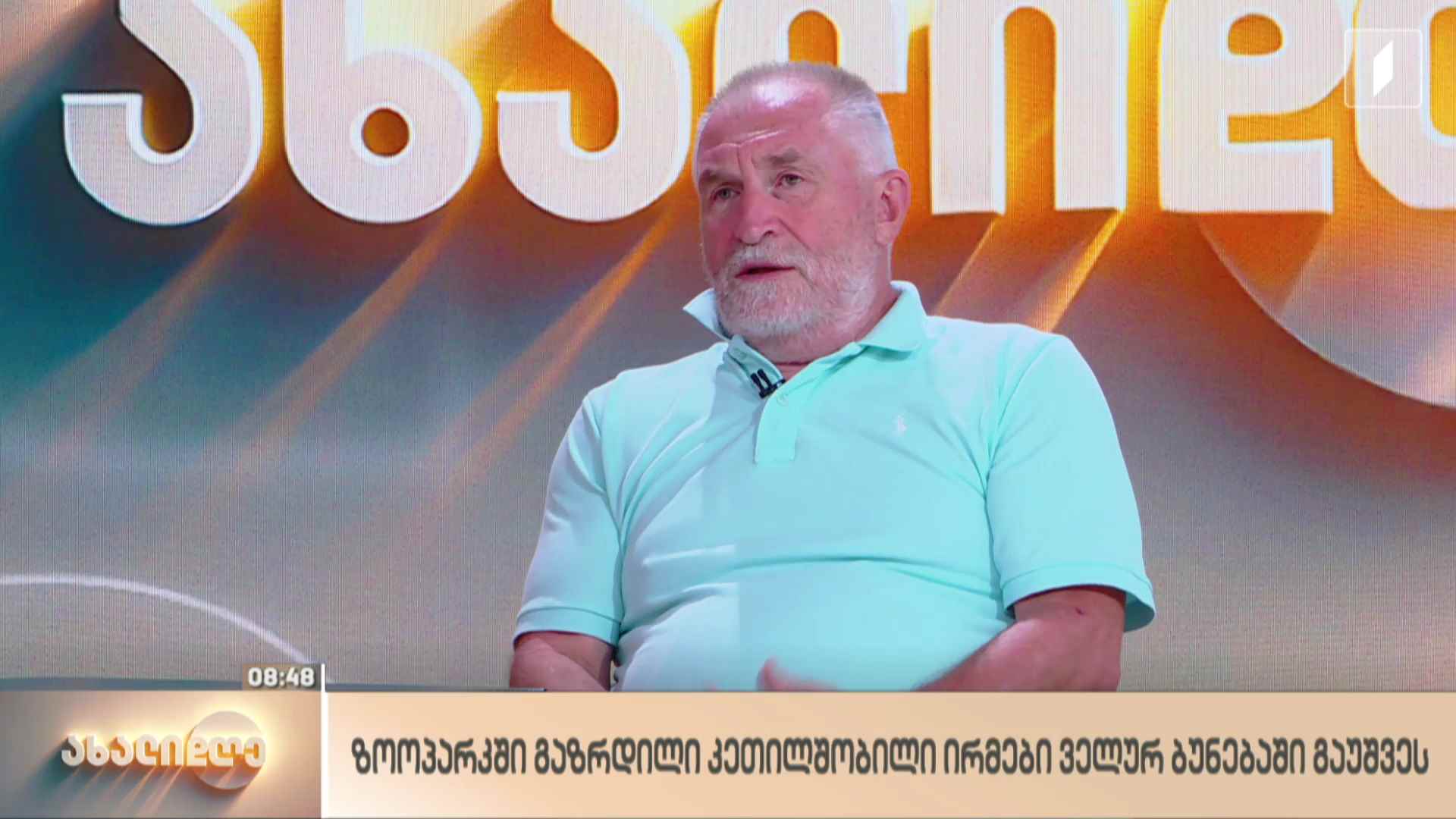 ზოოპარკში გაზრდილი კეთილშობილი ირმები ველურ ბუნებაში გაუშვეს