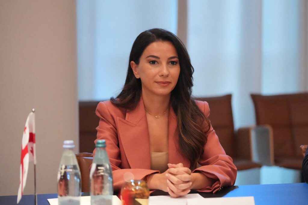 მარიამ ქვრივიშვილი - თურქეთის მხარესთან განვიხილეთ ინფრასტრუქტურული პროექტები, რომლებიც ხელს შეუწყობს შუა დერეფნის განვითარებას და საქართველოს სატრანზიტო ფუნქციის გაძლიერებას