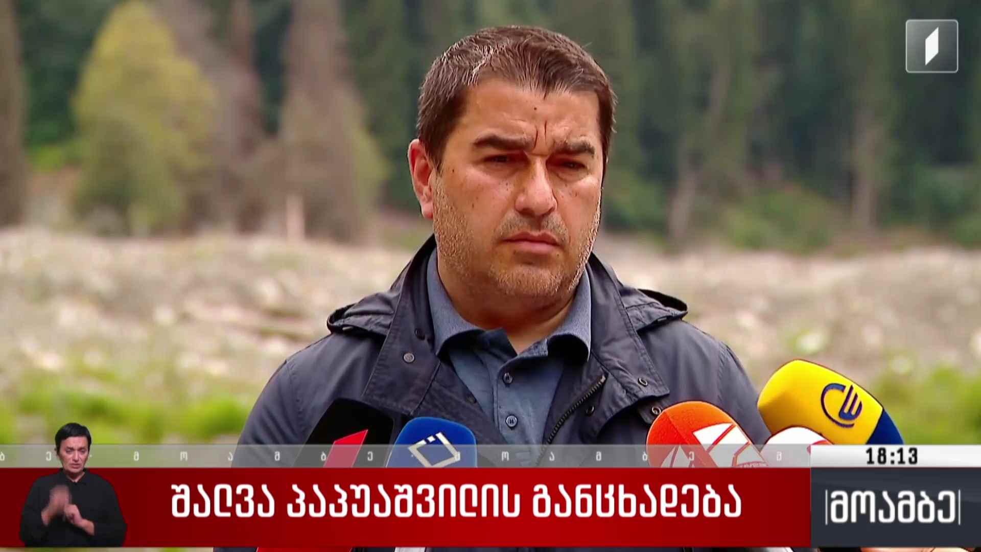 შალვა პაპუაშვილის განცხადება