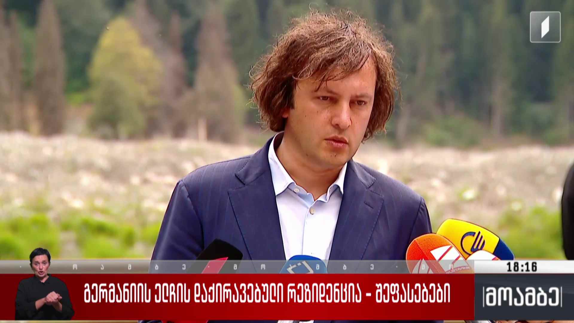 გერმანიის ელჩის დაქირავებული რეზიდენცია - შეფასებები