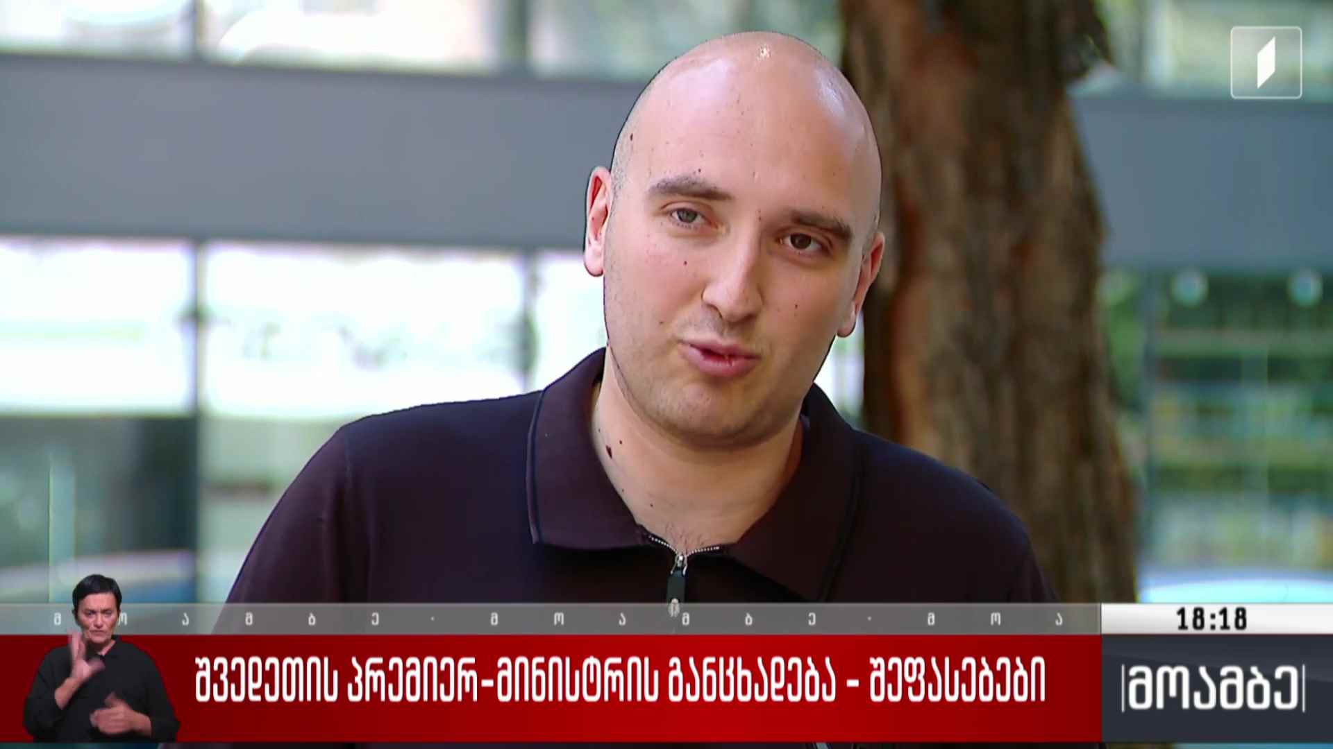 შვედეთის პრემიერ-მინისტრის განცხადება - შეფასებები