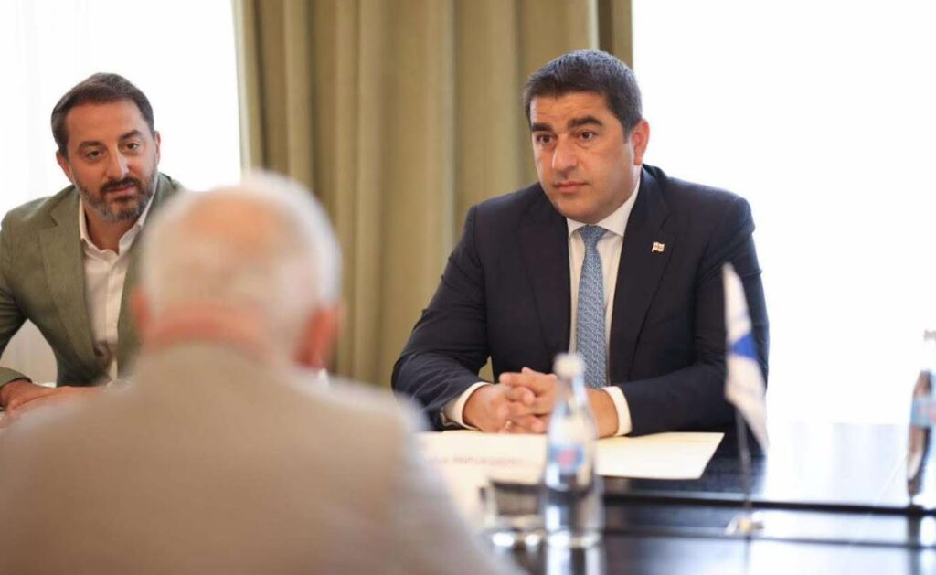 შალვა პაპუაშვილი შავი ზღვის ეკონომიკური თანამშრომლობის საპარლამენტო ასამბლეის გენერალურ მდივანს შეხვდა