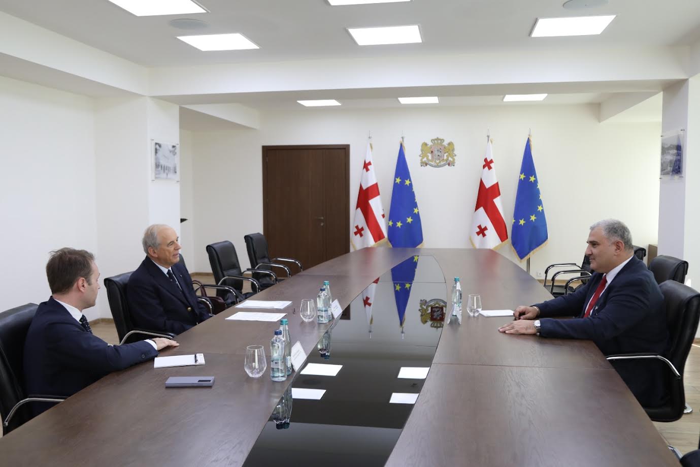 მიხეილ სარჯველაძე მალტის ელჩს შეხვდა