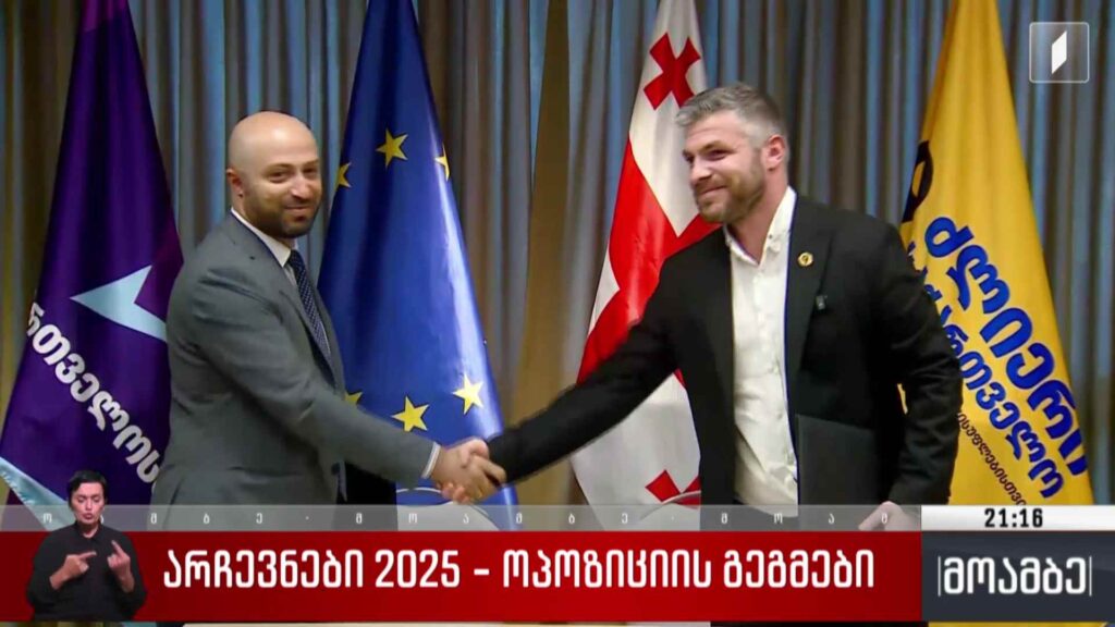 არჩევნები 2025 – ოპოზიციის გეგმები